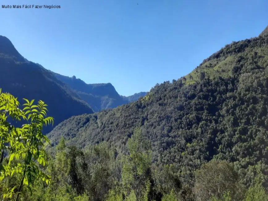 Foto 1 de Terreno / Lote à venda em Nova Petropolis - RS