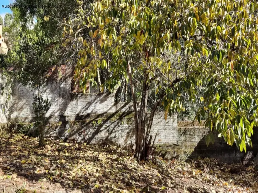 Casa com 3 quartos à venda, 169m2 em Nova Petropolis - RS - imagem 8 Foto 8 de Casa com 3 quartos à venda, 169m2 em Nova Petropolis - RS