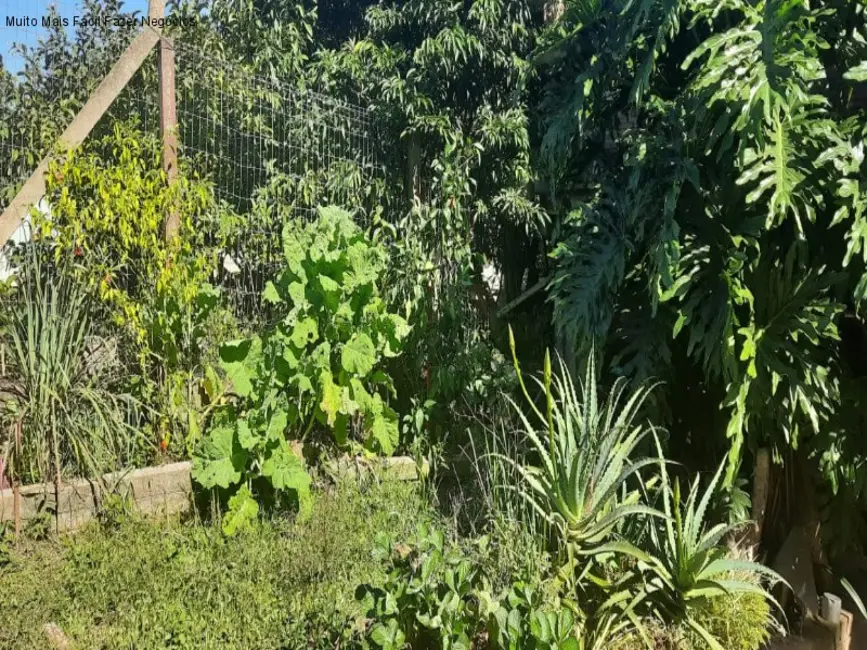 Foto 2 de Casa com 3 quartos à venda, 267m2 em Nova Petropolis - RS