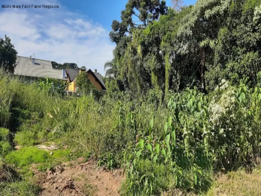 Foto 1 de Terreno / Lote à venda, 457m2 em Nova Petropolis - RS