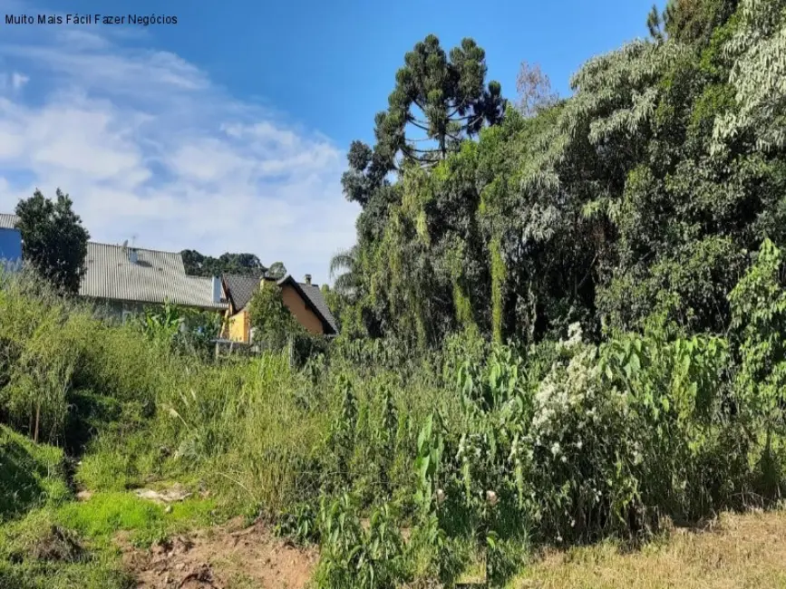 Terreno / Lote à venda, 457m2 em Nova Petropolis - RS - imagem 2 Foto 2 de Terreno / Lote à venda, 457m2 em Nova Petropolis - RS