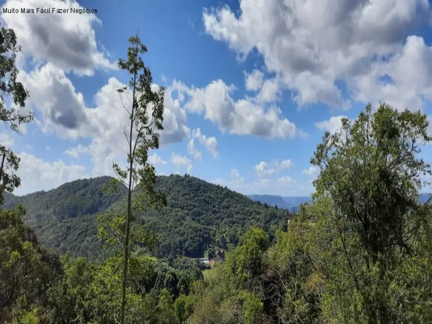 Terreno / Lote à venda, 363m2 em Nova Petropolis - RS - imagem 4 Foto 4 de Terreno / Lote à venda, 363m2 em Nova Petropolis - RS