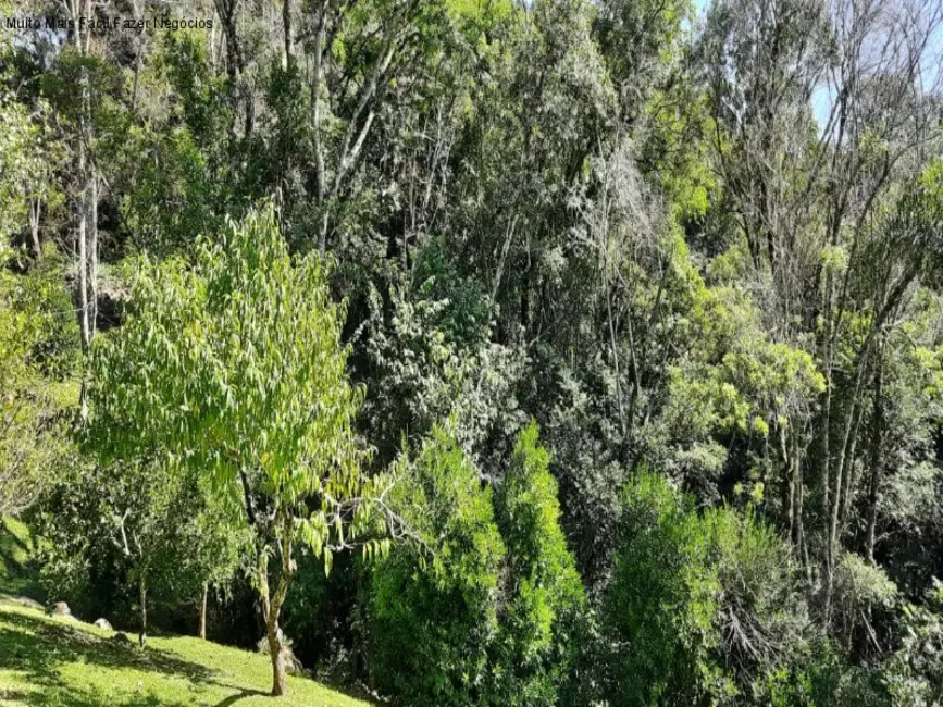 Sítio / Rancho com 2 quartos à venda, 220m2 em Nova Petropolis - RS - imagem 3 Foto 3 de Sítio / Rancho com 2 quartos à venda, 220m2 em Nova Petropolis - RS