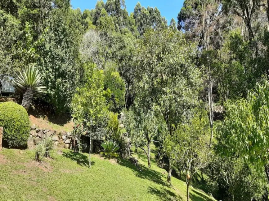 Sítio / Rancho com 2 quartos à venda, 220m2 em Nova Petropolis - RS - imagem 9 Foto 9 de Sítio / Rancho com 2 quartos à venda, 220m2 em Nova Petropolis - RS
