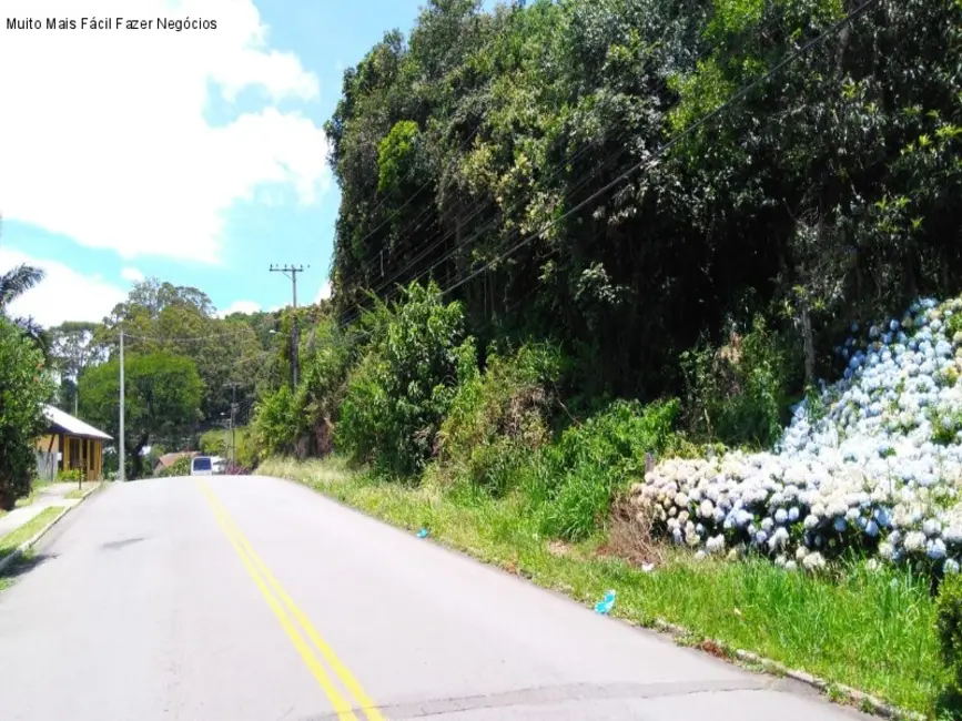 Foto 1 de Terreno / Lote à venda, 823m2 em Nova Petropolis - RS