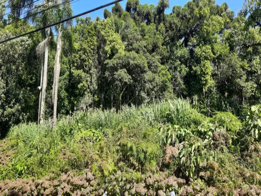 Foto 2 de Terreno / Lote à venda, 823m2 em Nova Petropolis - RS