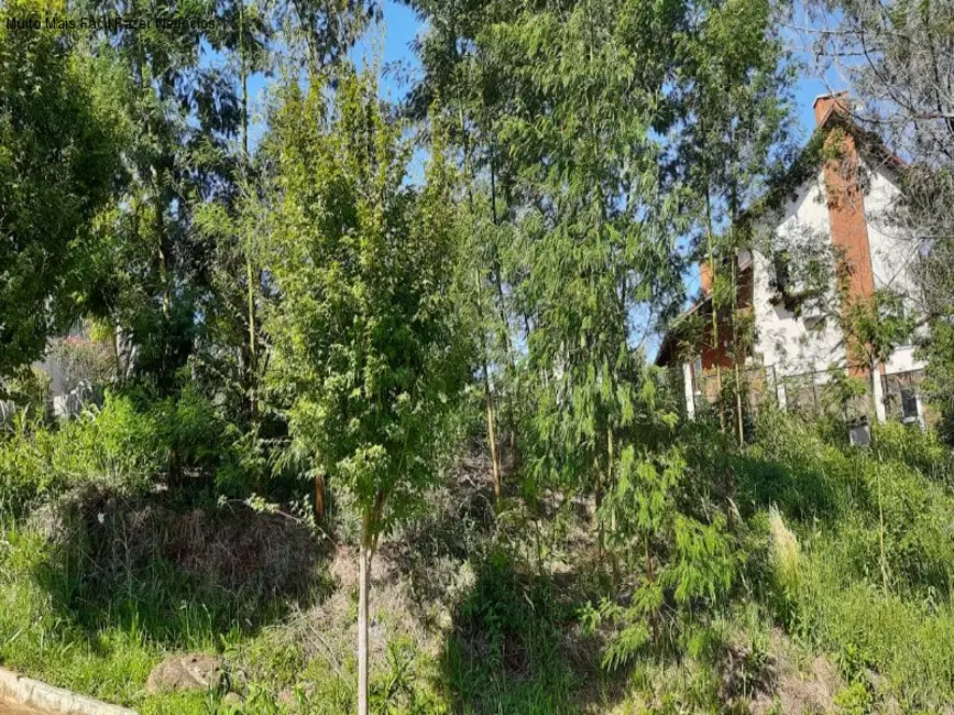 Terreno / Lote à venda, 471m2 em Nova Petropolis - RS - imagem 2 Foto 2 de Terreno / Lote à venda, 471m2 em Nova Petropolis - RS