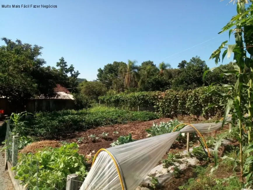 Foto 3 de Casa com 3 quartos à venda, 63m2 em Nova Petropolis - RS