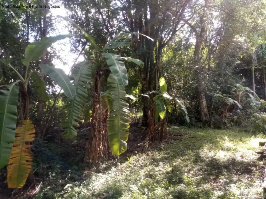 Sítio / Rancho com 3 quartos à venda, 60m2 em Picada Cafe - RS - imagem 9 Foto 9 de Sítio / Rancho com 3 quartos à venda, 60m2 em Picada Cafe - RS