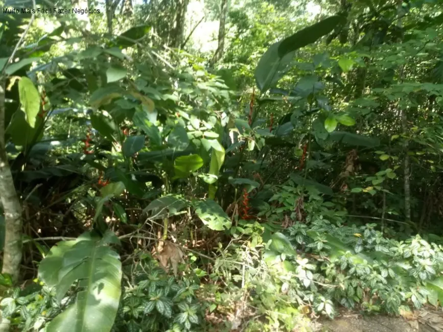 Sítio / Rancho com 3 quartos à venda, 60m2 em Picada Cafe - RS - imagem 5 Foto 5 de Sítio / Rancho com 3 quartos à venda, 60m2 em Picada Cafe - RS