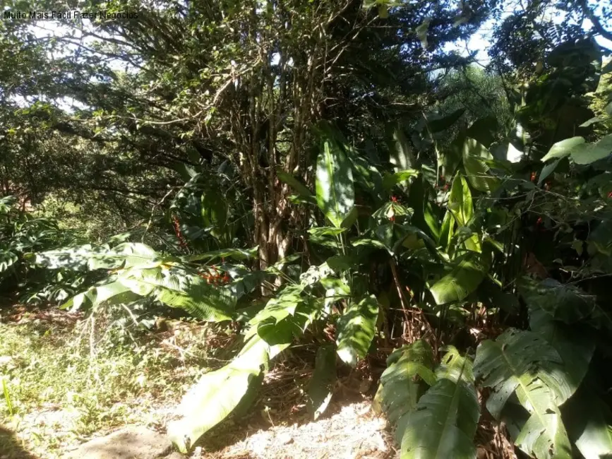 Sítio / Rancho com 3 quartos à venda, 60m2 em Picada Cafe - RS - imagem 7 Foto 7 de Sítio / Rancho com 3 quartos à venda, 60m2 em Picada Cafe - RS