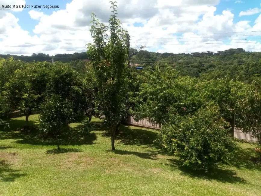 Casa com 5 quartos à venda, 348m2 em Nova Petropolis - RS - imagem 4 Foto 4 de Casa com 5 quartos à venda, 348m2 em Nova Petropolis - RS