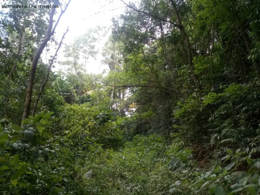 Terreno / Lote à venda, 8m2 em Nova Petropolis - RS - imagem 4 Foto 4 de Terreno / Lote à venda, 8m2 em Nova Petropolis - RS