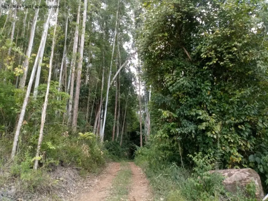 Terreno / Lote à venda, 8m2 em Nova Petropolis - RS - imagem 6 Foto 6 de Terreno / Lote à venda, 8m2 em Nova Petropolis - RS