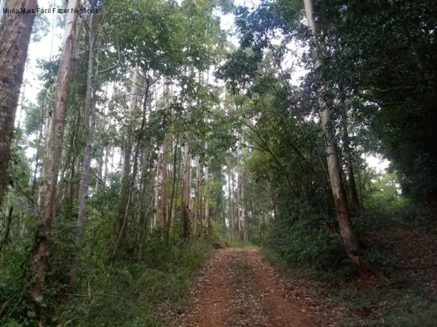 Terreno / Lote à venda, 8m2 em Nova Petropolis - RS - imagem 7 Foto 7 de Terreno / Lote à venda, 8m2 em Nova Petropolis - RS
