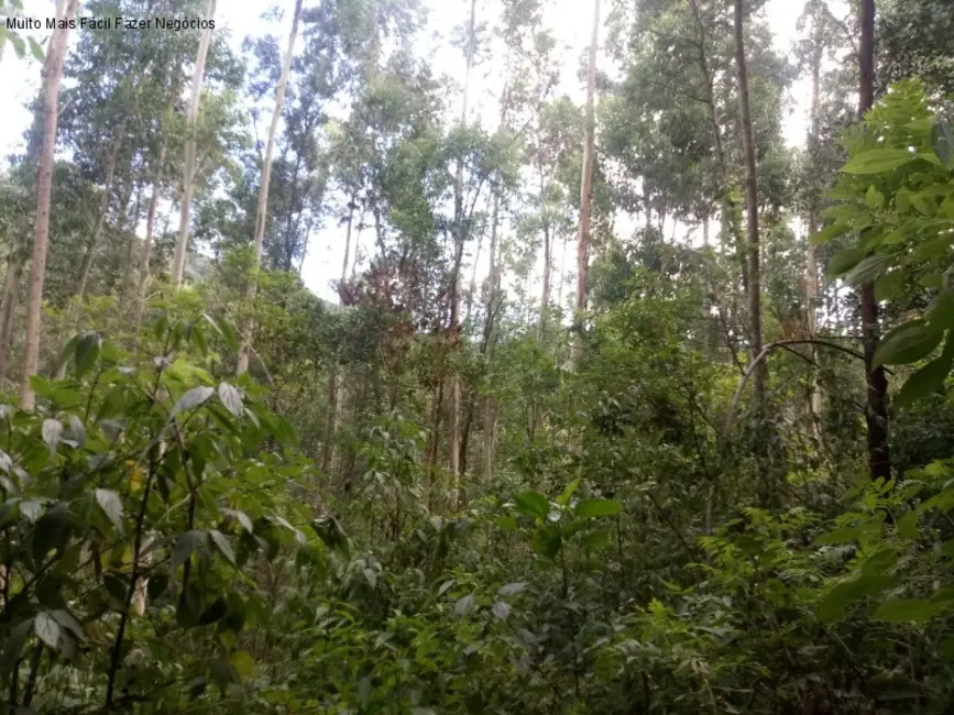 Terreno / Lote à venda, 8m2 em Nova Petropolis - RS - imagem 9 Foto 9 de Terreno / Lote à venda, 8m2 em Nova Petropolis - RS