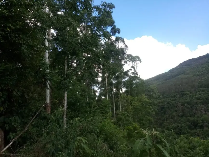 Terreno / Lote à venda, 8m2 em Nova Petropolis - RS - imagem 8 Foto 8 de Terreno / Lote à venda, 8m2 em Nova Petropolis - RS