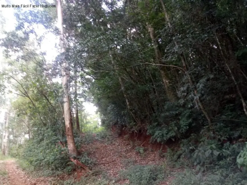 Terreno / Lote à venda, 8m2 em Nova Petropolis - RS - imagem 5 Foto 5 de Terreno / Lote à venda, 8m2 em Nova Petropolis - RS