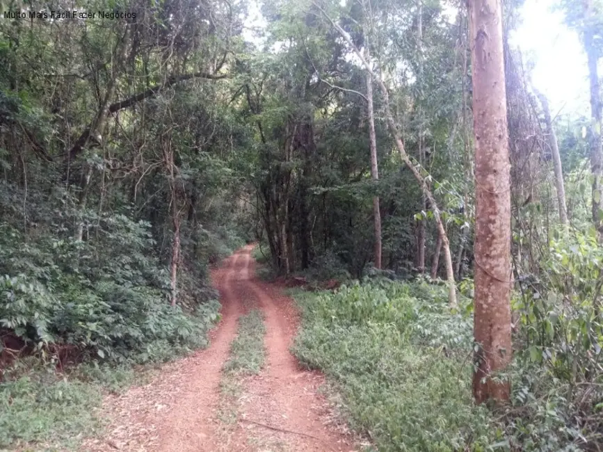 Terreno / Lote à venda, 8m2 em Nova Petropolis - RS - imagem 2 Foto 2 de Terreno / Lote à venda, 8m2 em Nova Petropolis - RS