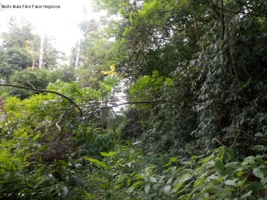 Terreno / Lote à venda, 8m2 em Nova Petropolis - RS - imagem 3 Foto 3 de Terreno / Lote à venda, 8m2 em Nova Petropolis - RS