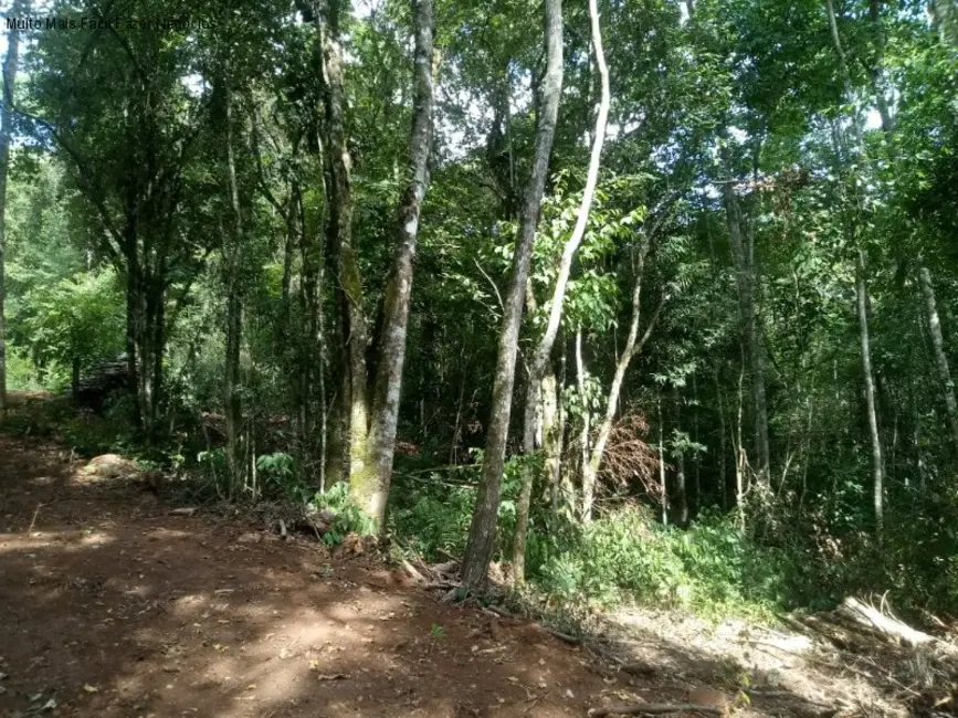 Terreno / Lote à venda em Nova Petropolis - RS - imagem 6 Foto 6 de Terreno / Lote à venda em Nova Petropolis - RS