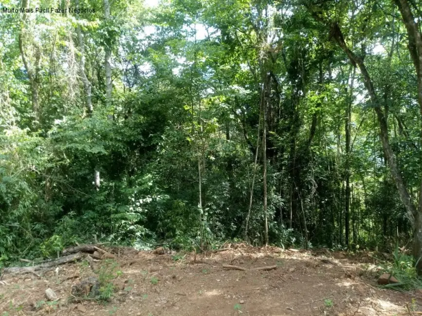 Terreno / Lote à venda em Nova Petropolis - RS - imagem 8 Foto 8 de Terreno / Lote à venda em Nova Petropolis - RS