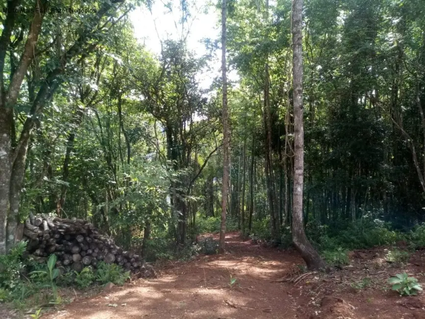 Terreno / Lote à venda em Nova Petropolis - RS - imagem 9 Foto 9 de Terreno / Lote à venda em Nova Petropolis - RS