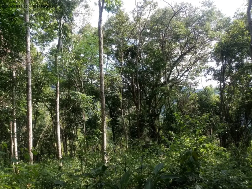 Terreno / Lote à venda em Nova Petropolis - RS - imagem 5 Foto 5 de Terreno / Lote à venda em Nova Petropolis - RS