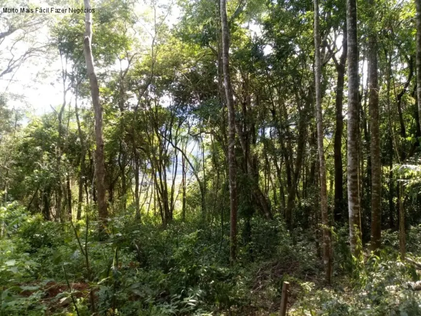 Terreno / Lote à venda em Nova Petropolis - RS - imagem 7 Foto 7 de Terreno / Lote à venda em Nova Petropolis - RS