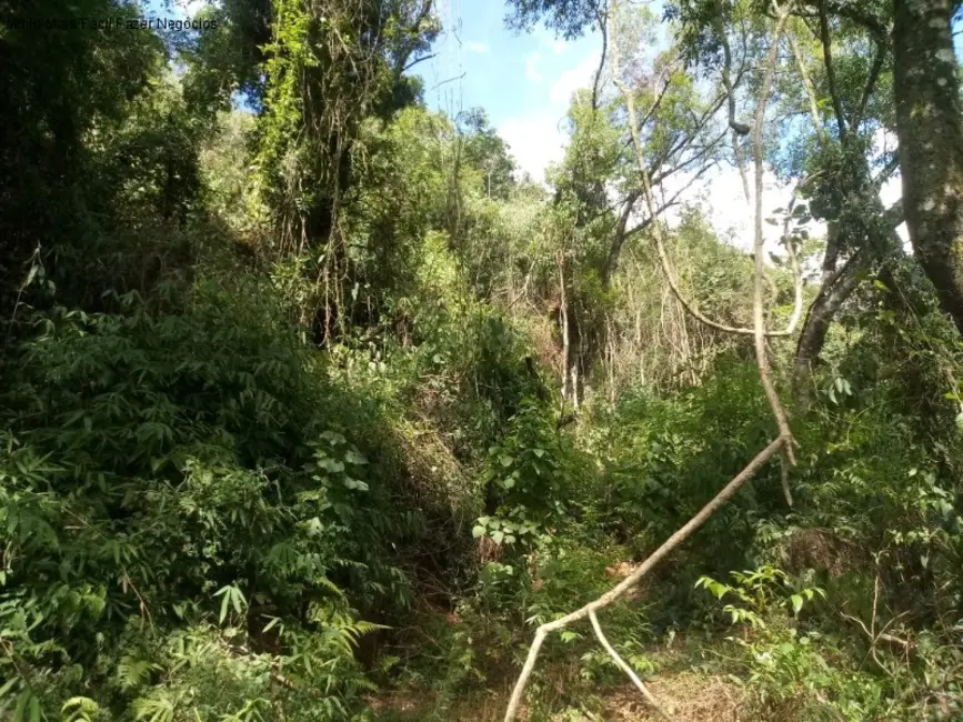 Terreno / Lote à venda em Nova Petropolis - RS - imagem 3 Foto 3 de Terreno / Lote à venda em Nova Petropolis - RS