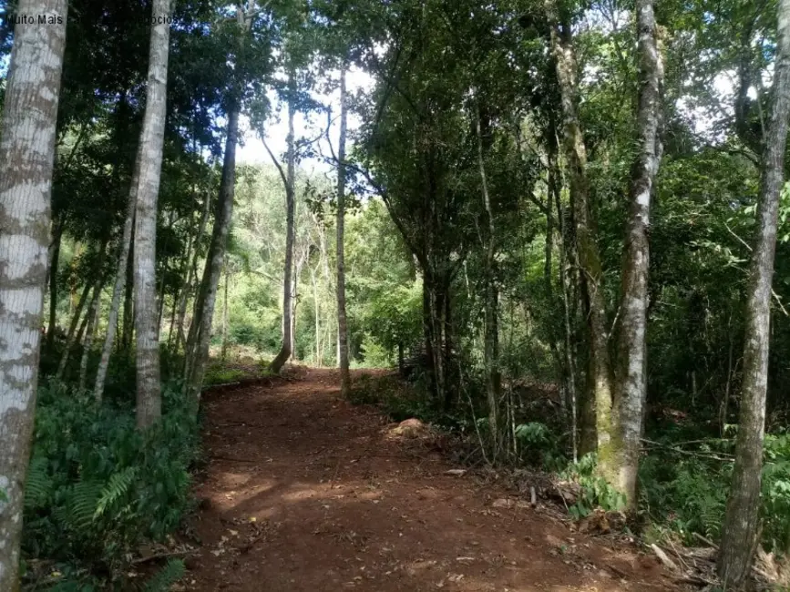 Terreno / Lote à venda em Nova Petropolis - RS - imagem 4 Foto 4 de Terreno / Lote à venda em Nova Petropolis - RS