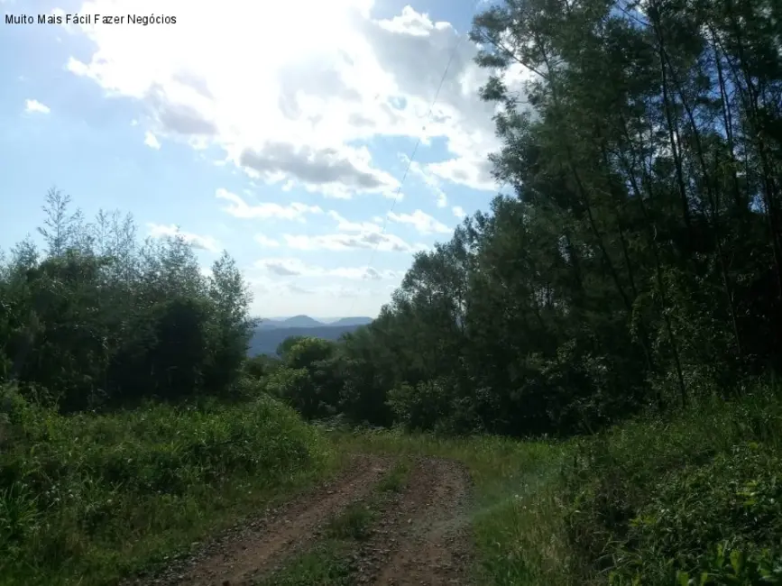 Terreno / Lote à venda em Nova Petropolis - RS - imagem 8 Foto 8 de Terreno / Lote à venda em Nova Petropolis - RS