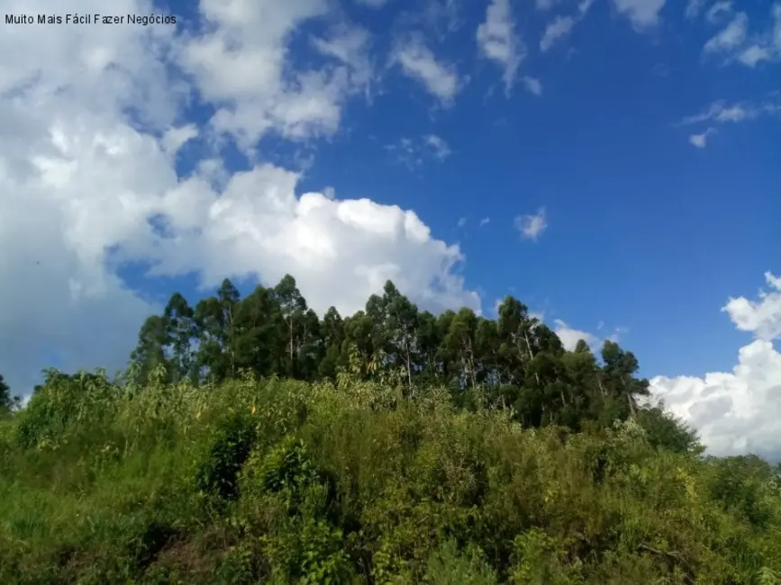 Terreno / Lote à venda em Nova Petropolis - RS - imagem 6 Foto 6 de Terreno / Lote à venda em Nova Petropolis - RS