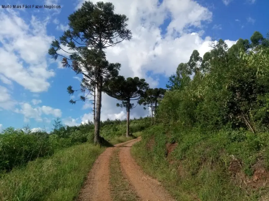 Terreno / Lote à venda em Nova Petropolis - RS - imagem 5 Foto 5 de Terreno / Lote à venda em Nova Petropolis - RS