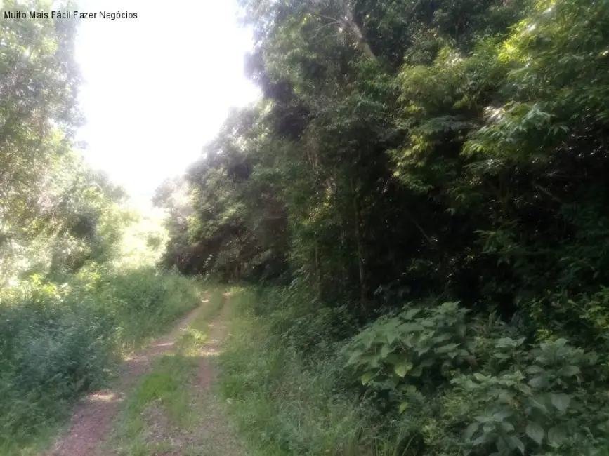 Terreno / Lote à venda, 9m2 em Nova Petropolis - RS - imagem 6 Foto 6 de Terreno / Lote à venda, 9m2 em Nova Petropolis - RS
