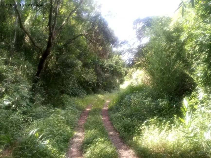 Terreno / Lote à venda, 9m2 em Nova Petropolis - RS - imagem 8 Foto 8 de Terreno / Lote à venda, 9m2 em Nova Petropolis - RS