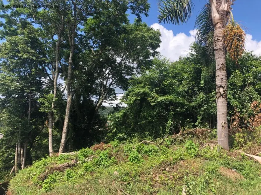 Foto 2 de Terreno / Lote à venda, 400m2 em Nova Petropolis - RS