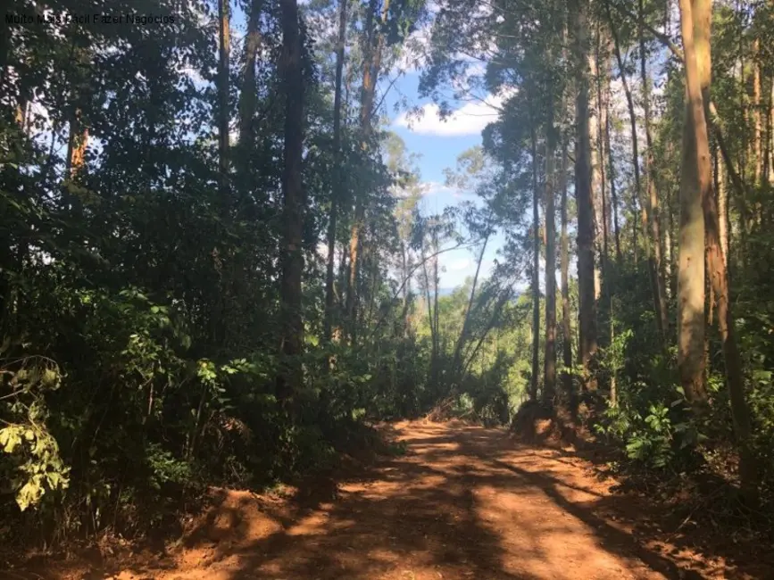 Terreno / Lote à venda em Nova Petropolis - RS - imagem 4 Foto 4 de Terreno / Lote à venda em Nova Petropolis - RS