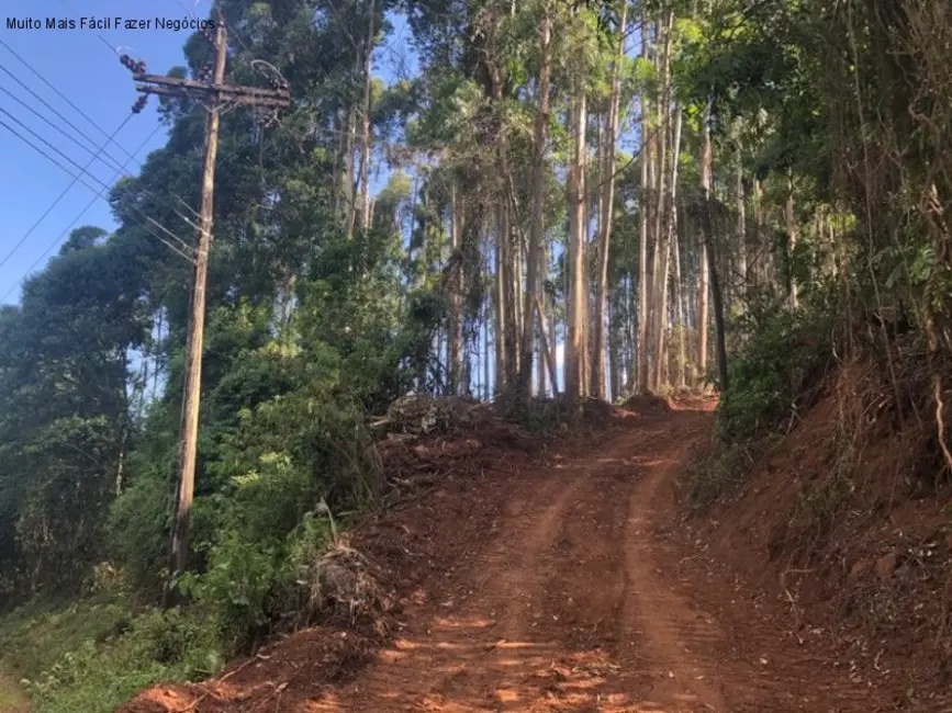 Terreno / Lote à venda em Nova Petropolis - RS - imagem 5 Foto 5 de Terreno / Lote à venda em Nova Petropolis - RS