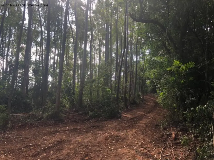 Terreno / Lote à venda em Nova Petropolis - RS - imagem 3 Foto 3 de Terreno / Lote à venda em Nova Petropolis - RS