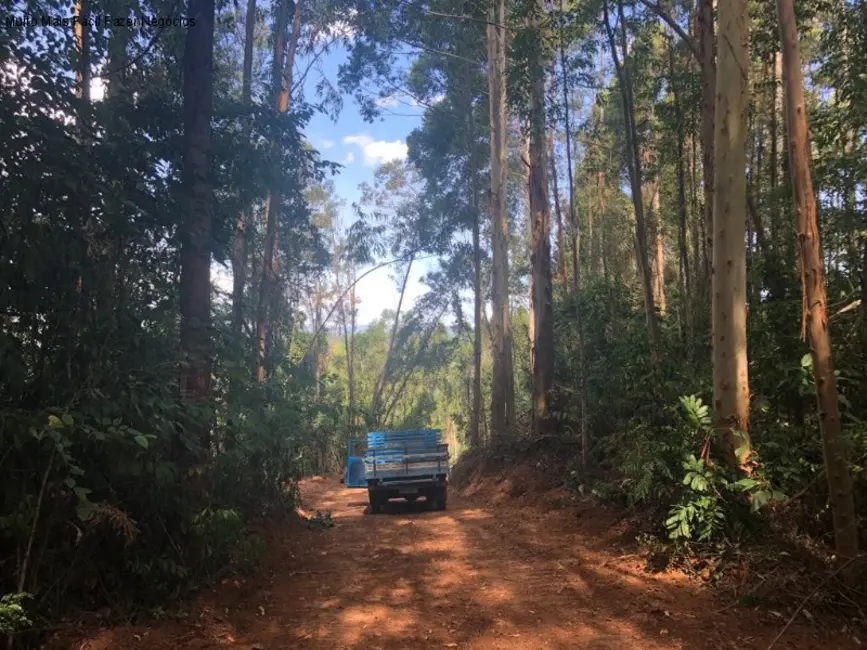Terreno / Lote à venda em Nova Petropolis - RS - imagem 6 Foto 6 de Terreno / Lote à venda em Nova Petropolis - RS
