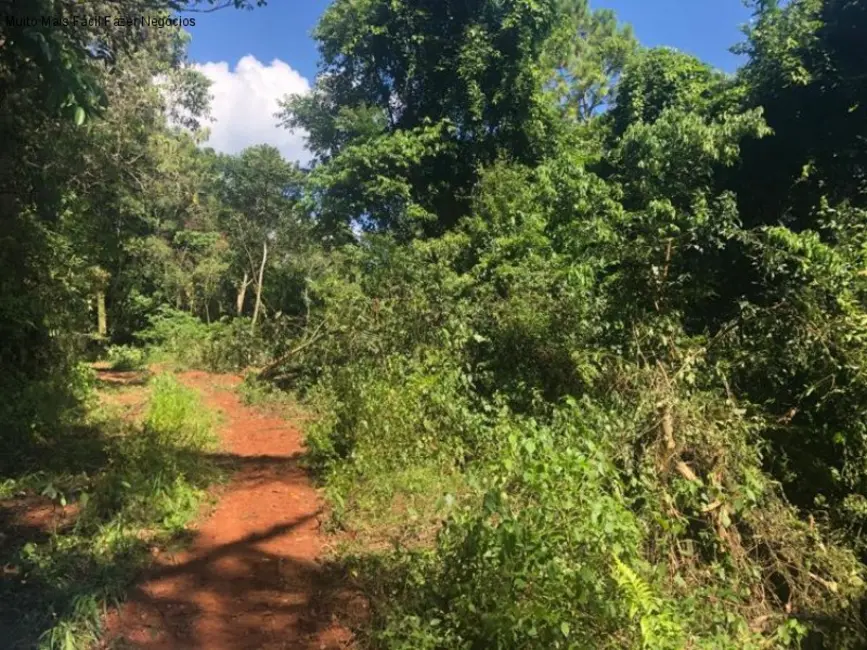 Terreno / Lote à venda em Nova Petropolis - RS - imagem 3 Foto 3 de Terreno / Lote à venda em Nova Petropolis - RS