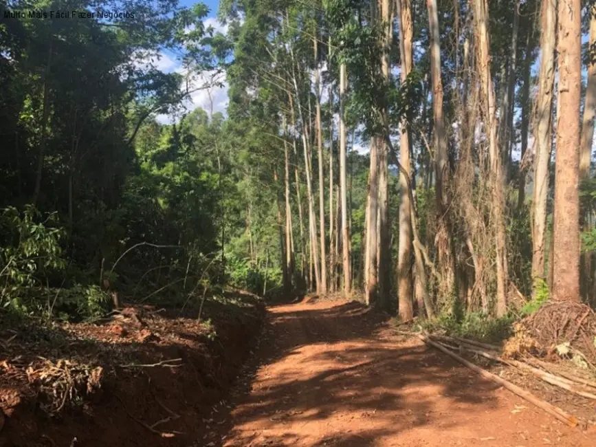 Terreno / Lote à venda em Nova Petropolis - RS - imagem 5 Foto 5 de Terreno / Lote à venda em Nova Petropolis - RS