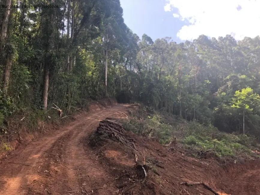 Terreno / Lote à venda em Nova Petropolis - RS - imagem 1 Foto 1 de Terreno / Lote à venda em Nova Petropolis - RS