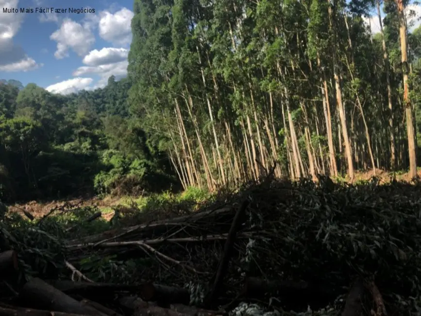 Terreno / Lote à venda em Nova Petropolis - RS - imagem 6 Foto 6 de Terreno / Lote à venda em Nova Petropolis - RS