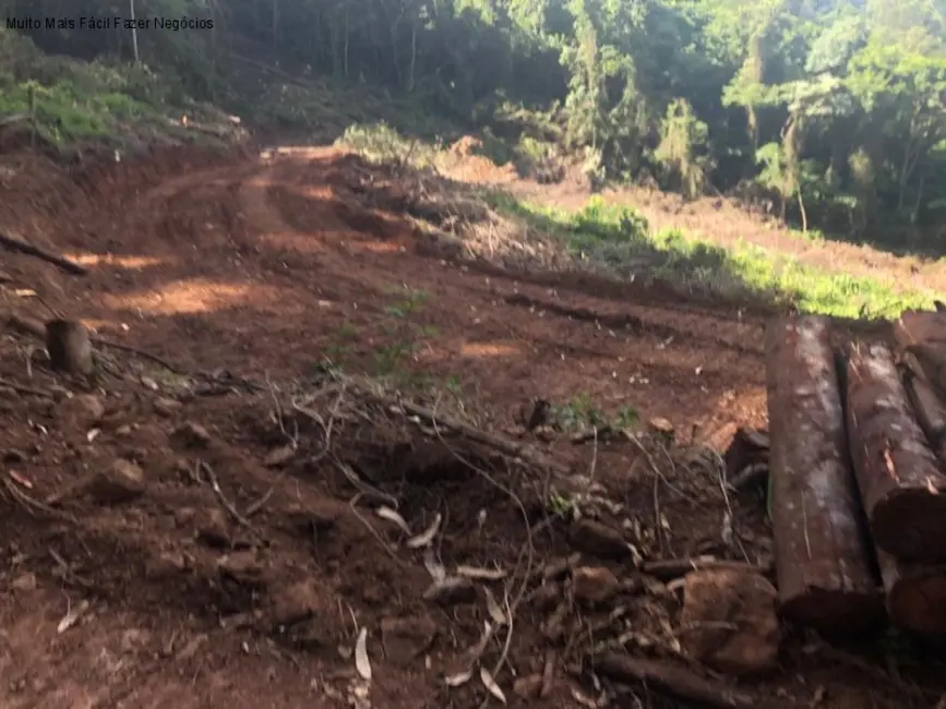 Terreno / Lote à venda em Nova Petropolis - RS - imagem 3 Foto 3 de Terreno / Lote à venda em Nova Petropolis - RS