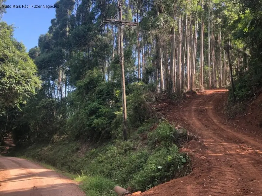 Terreno / Lote à venda em Nova Petropolis - RS - imagem 8 Foto 8 de Terreno / Lote à venda em Nova Petropolis - RS