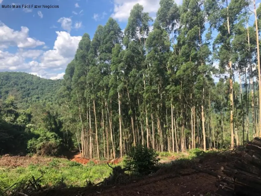 Terreno / Lote à venda em Nova Petropolis - RS - imagem 5 Foto 5 de Terreno / Lote à venda em Nova Petropolis - RS