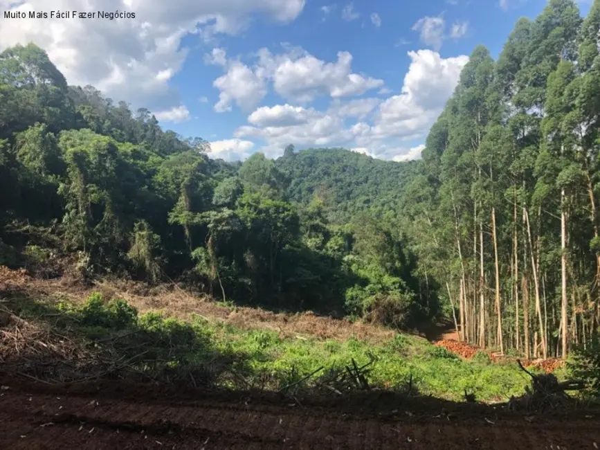 Terreno / Lote à venda em Nova Petropolis - RS - imagem 4 Foto 4 de Terreno / Lote à venda em Nova Petropolis - RS