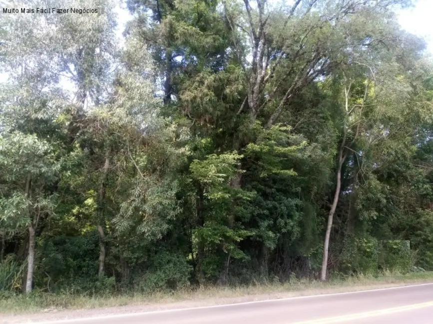 Foto 4 de Terreno / Lote à venda, 868m2 em Nova Petropolis - RS